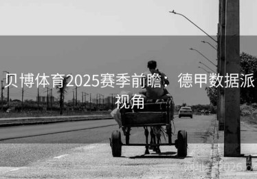贝博体育2025赛季前瞻:德甲数据派视角 贝博体育2025赛季前瞻:德甲数据派视角