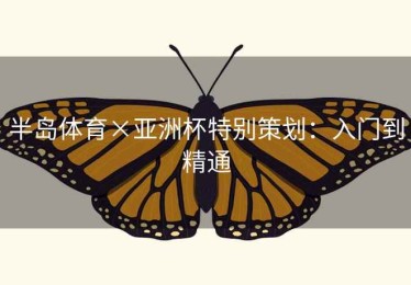 半岛体育×亚洲杯特别策划:入门到精通 半岛体育×亚洲杯特别策划:入门到精通