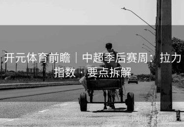 开元体育前瞻|中超季后赛周:拉力指数 · 要点拆解 开元体育前瞻|中超季后赛周:拉力指数 · 要点拆解