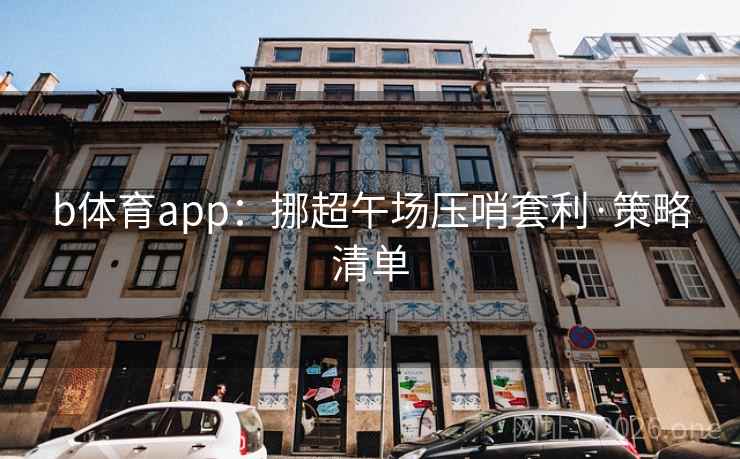 b体育app:挪超午场压哨套利·策略清单 b体育app:挪超午场压哨套利·策略清单