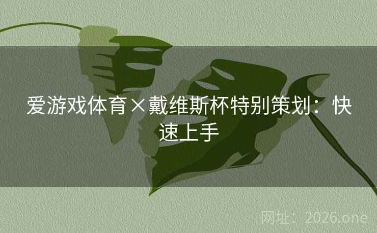 爱游戏体育×戴维斯杯特别策划:快速上手 爱游戏体育×戴维斯杯特别策划:快速上手