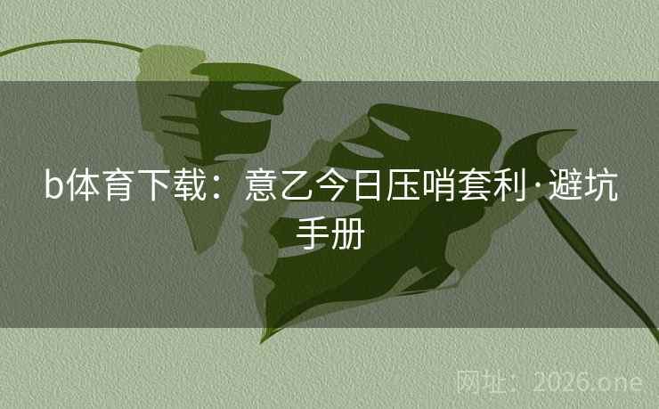 b体育下载:意乙今日压哨套利·避坑手册 b体育下载:意乙今日压哨套利·避坑手册
