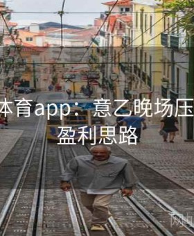 爱游戏体育app：意乙晚场压哨套利·盈利思路