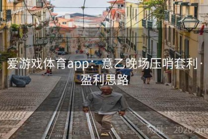 爱游戏体育app：意乙晚场压哨套利·盈利思路