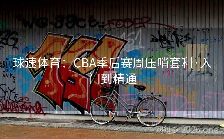 球速体育：CBA季后赛周压哨套利·入门到精通