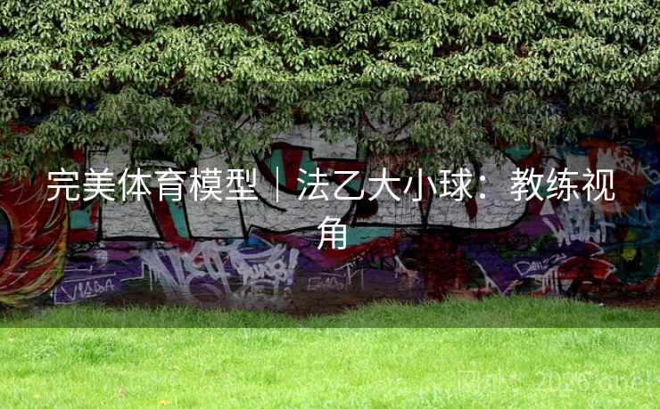 完美体育模型|法乙大小球:教练视角 完美体育模型|法乙大小球:教练视角