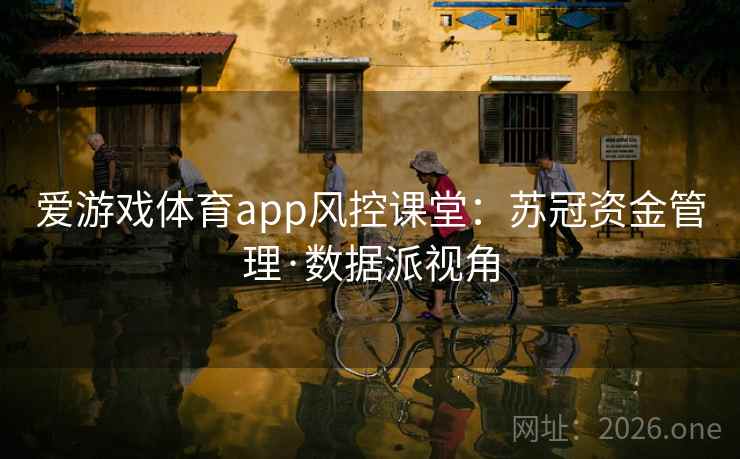 爱游戏体育app风控课堂:苏冠资金管理·数据派视角 爱游戏体育app风控课堂:苏冠资金管理·数据派视角