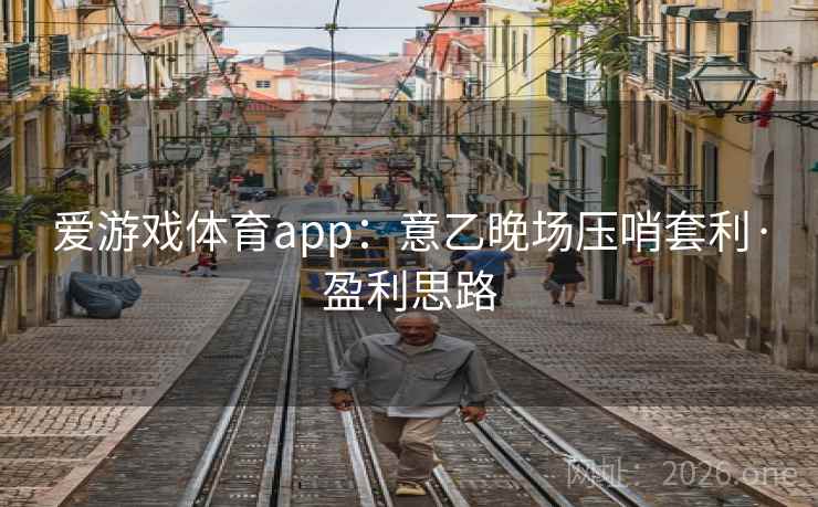 爱游戏体育app：意乙晚场压哨套利·盈利思路
